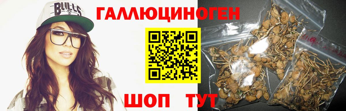 Донецк  Галлюциногенные грибы Cubensis  Вход с VPN 